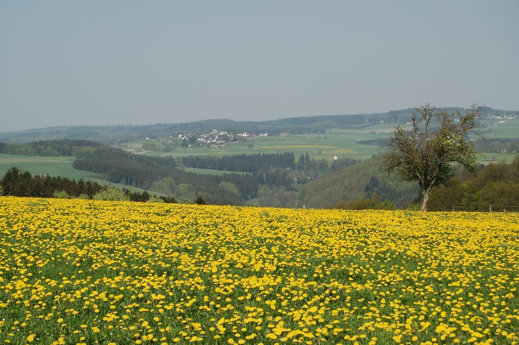 Landgasthaus Pfahl Wershofen Buitenkant foto
