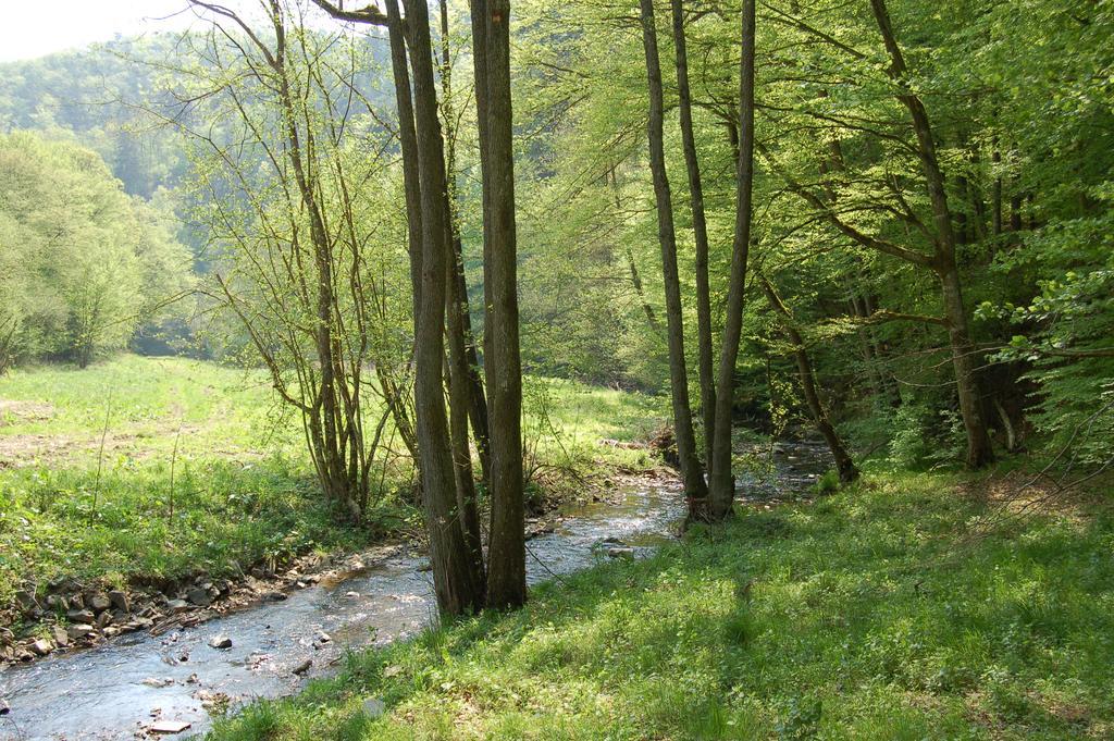 Landgasthaus Pfahl Wershofen Buitenkant foto